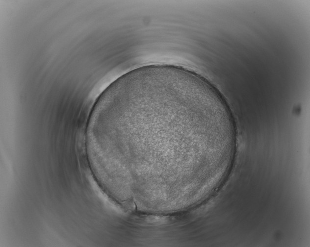 X0000112401521200908281737