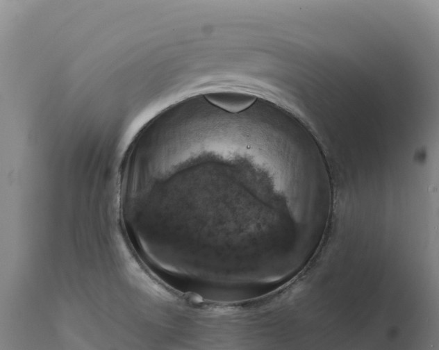 X0000112401522200908281737