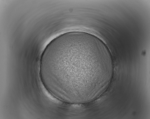 X0000112401523200908281738