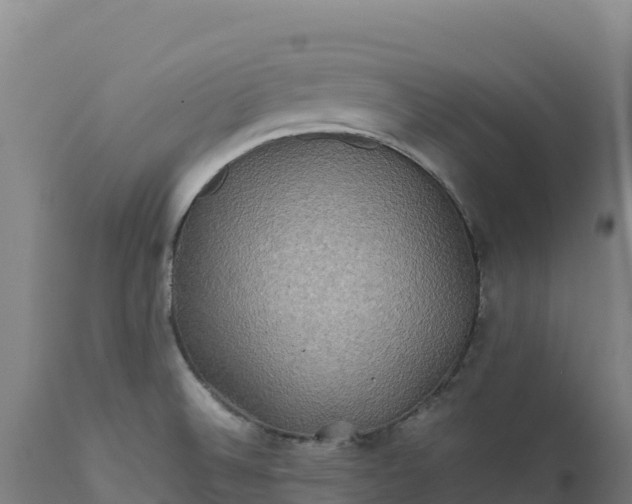 X0000112401524200908281738
