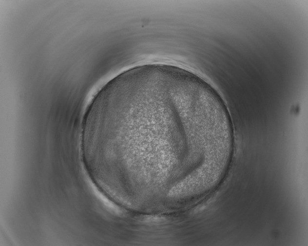 X0000112401525200908281738