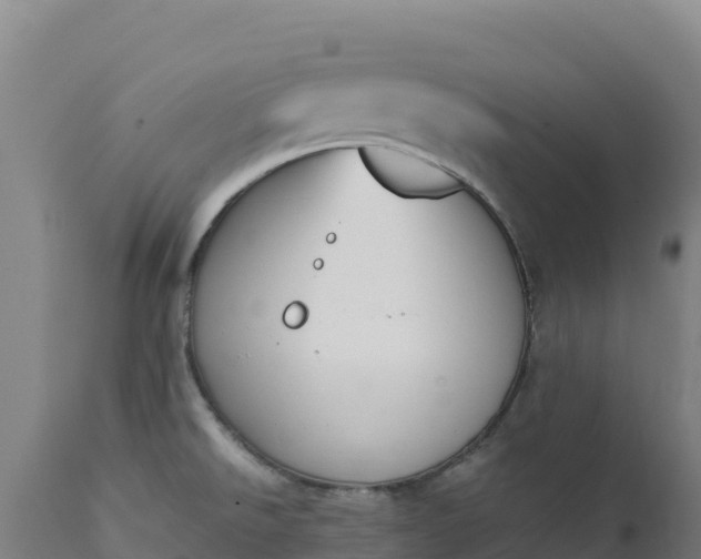 X0000112401526200908281738