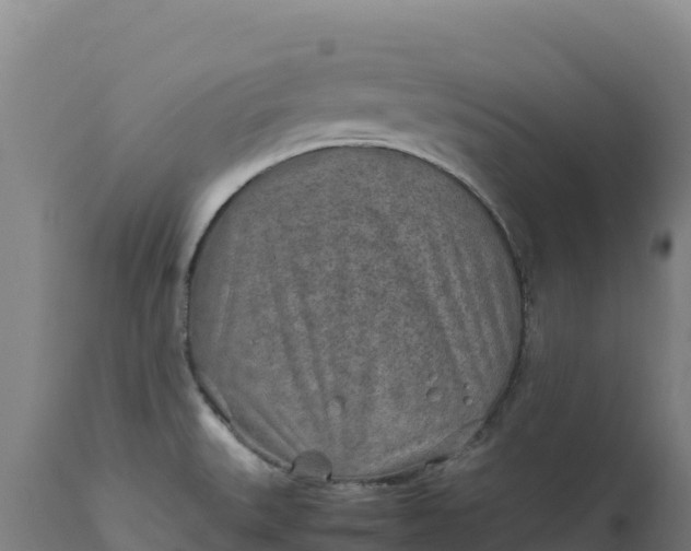 X0000112401527200908281738