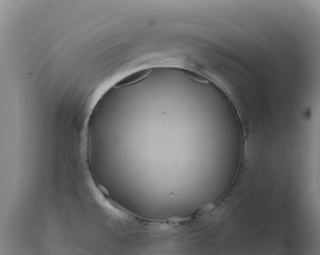 X0000112401528200908281738