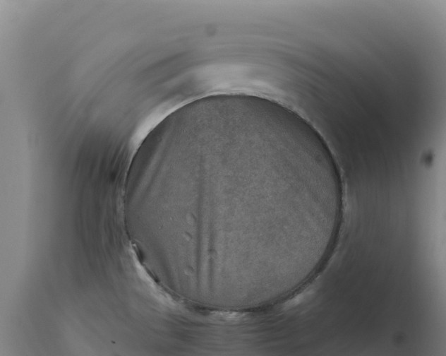 X0000112401529200908281738
