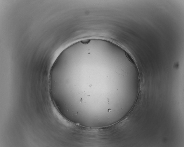 X0000112401532200908281738