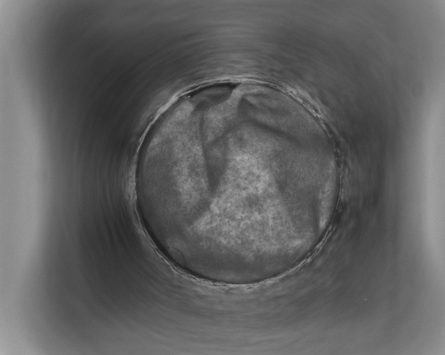 X0000112400002200909041345