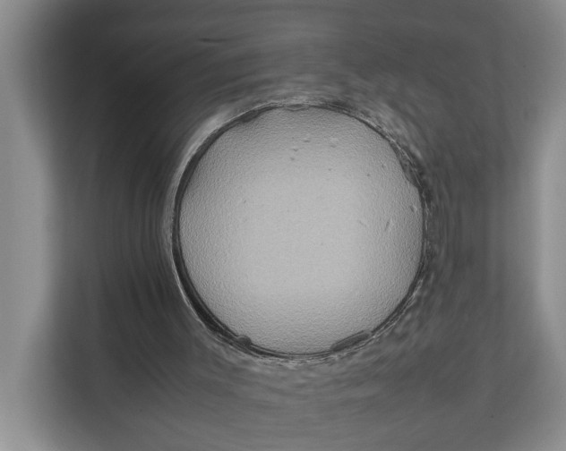X0000112400003200909041345