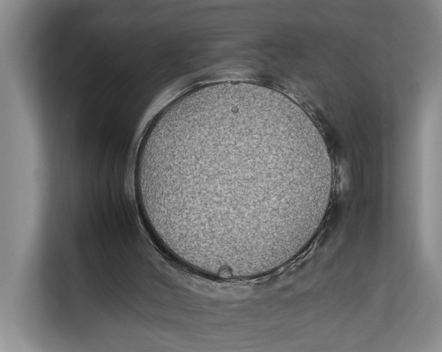 X0000112400004200909041345