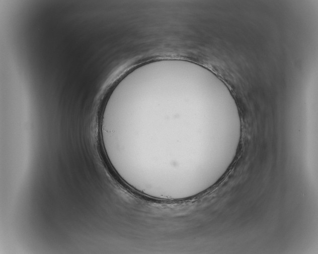 X0000112400005200909041345