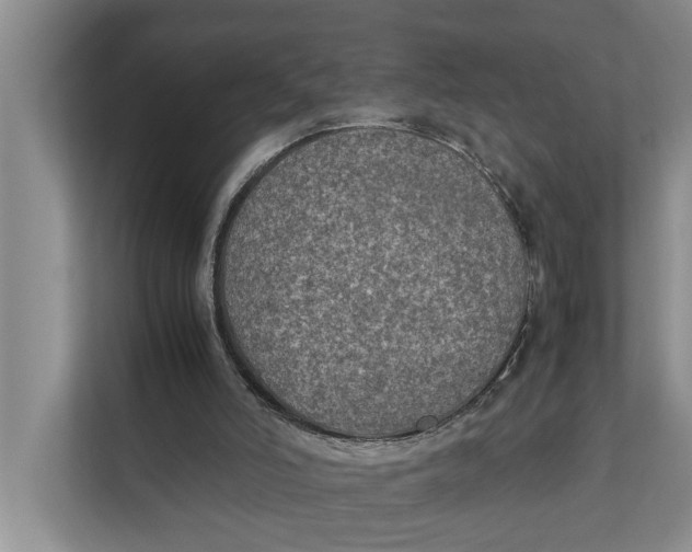 X0000112400006200909041345