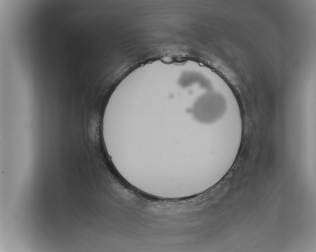 X0000112400009200909041345