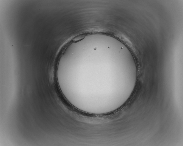 X0000112400012200909041345