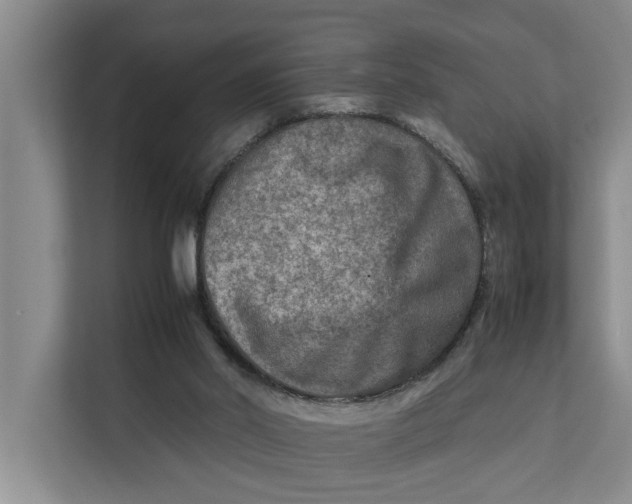 X0000112400014200909041345