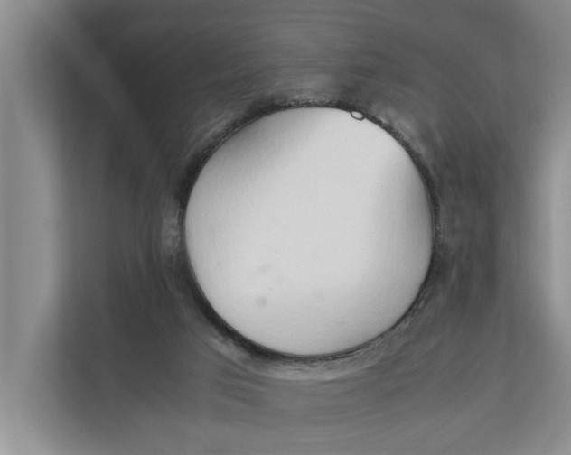 X0000112400017200909041345