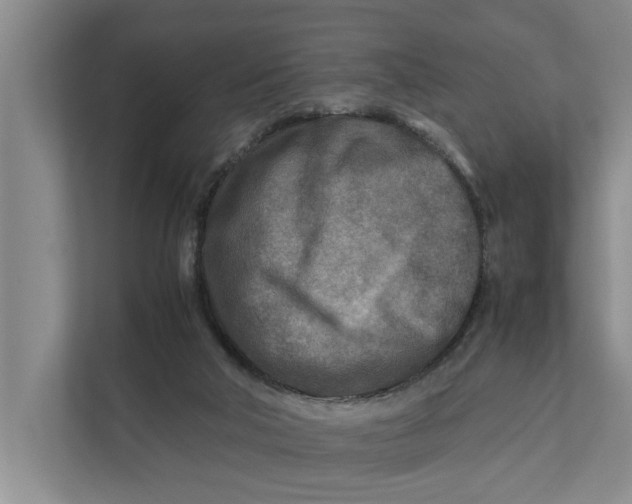 X0000112400018200909041345