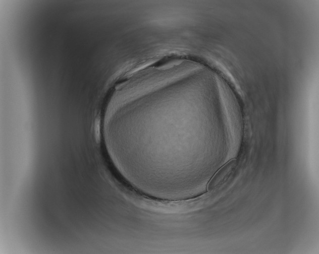 X0000112400019200909041345