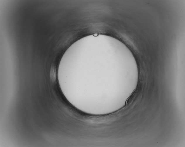 X0000112400021200909041345
