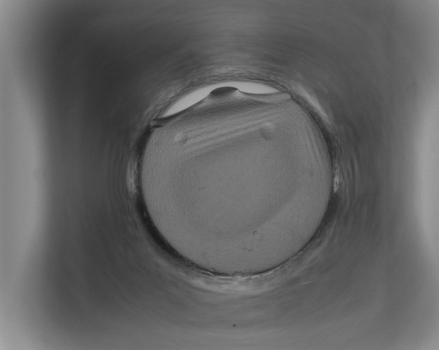 X0000112400023200909041345