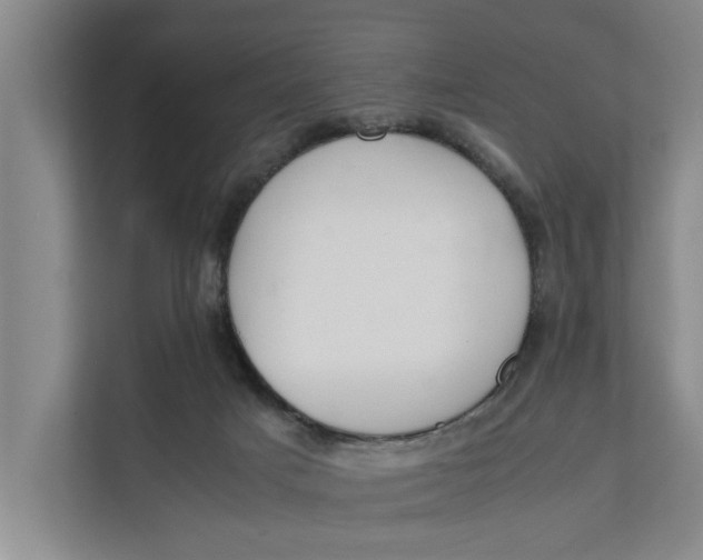 X0000112400025200909041345