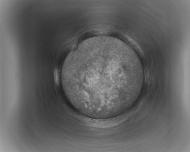 X0000112400026200909041345