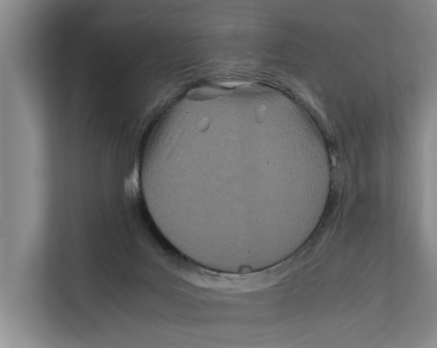 X0000112400027200909041345