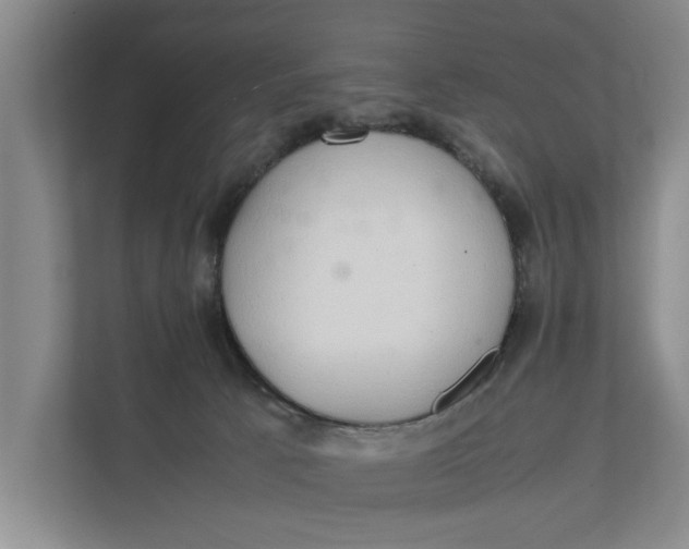 X0000112400033200909041345