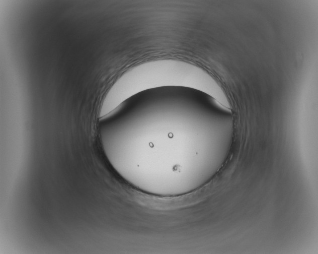 X0000112400039200909041345