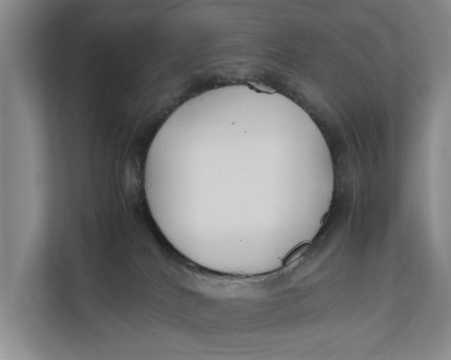 X0000112400040200909041345