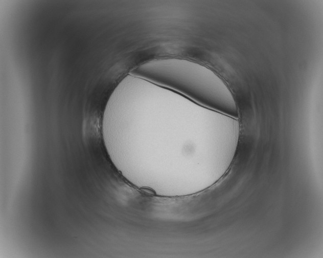 X0000112400045200909041345
