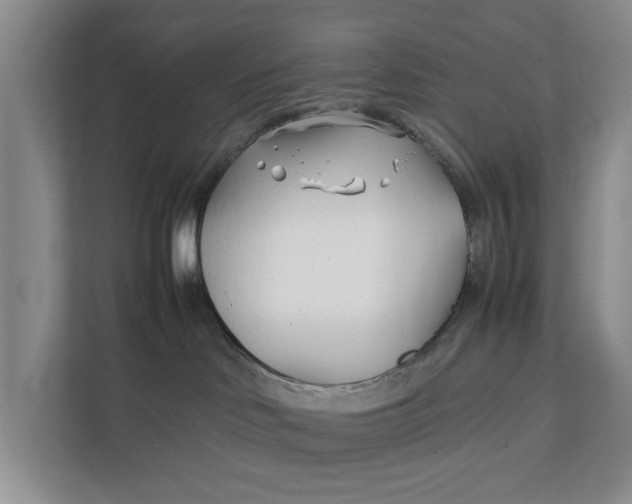 X0000112400046200909041345