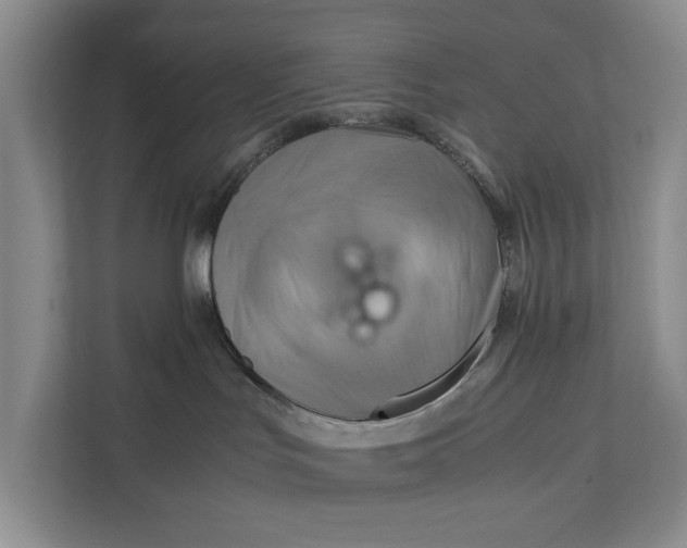 X0000112400047200909041345