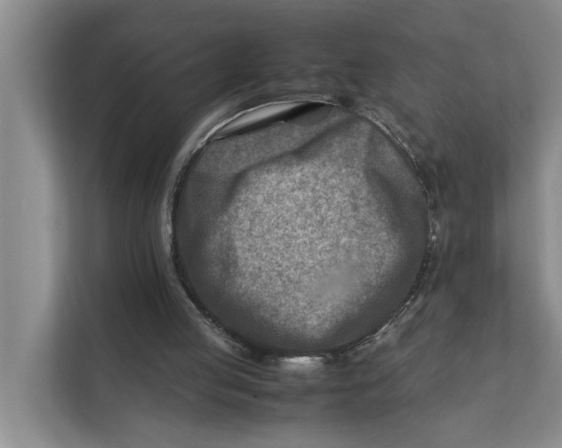 X0000112400053200909041344