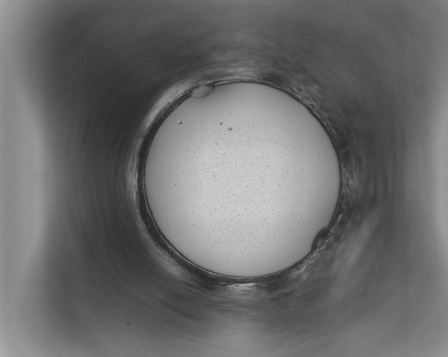 X0000112400054200909041344