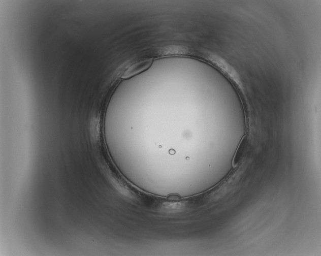 X0000112400057200909041344