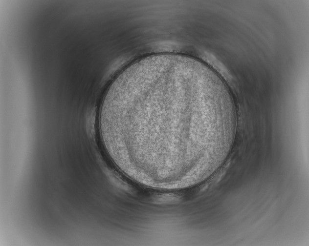 X0000112400058200909041344