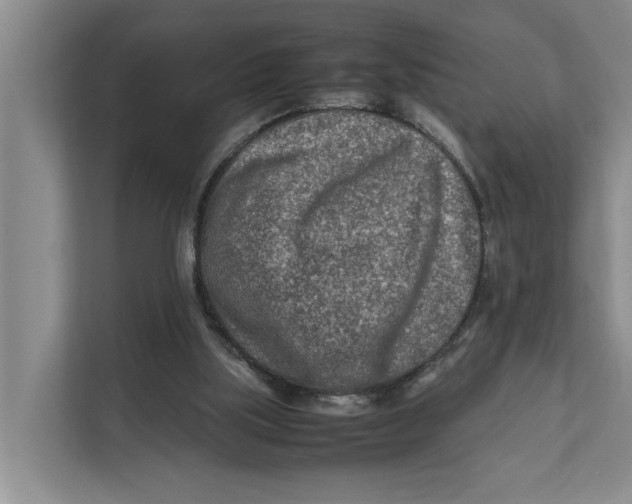 X0000112400059200909041344
