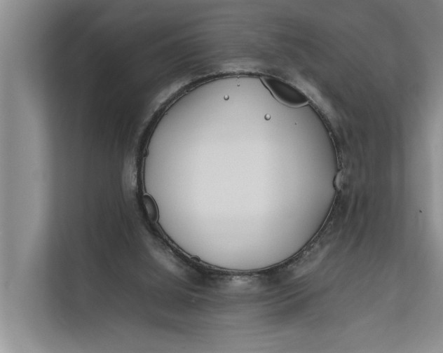 X0000112400060200909041344