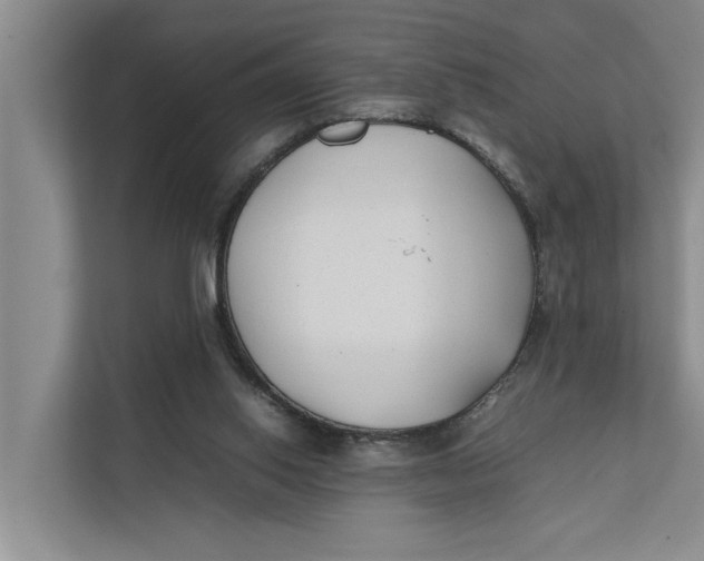 X0000112400062200909041344