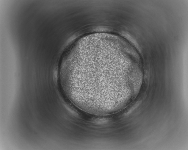 X0000112400063200909041344