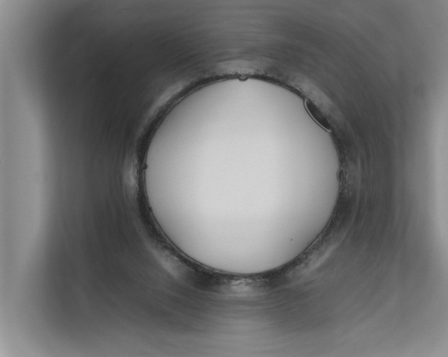 X0000112400064200909041344