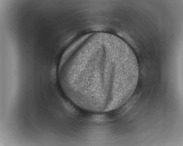 X0000112400066200909041344