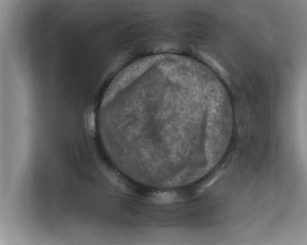 X0000112400067200909041344