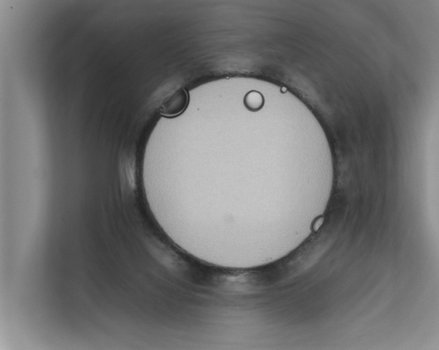 X0000112400068200909041344