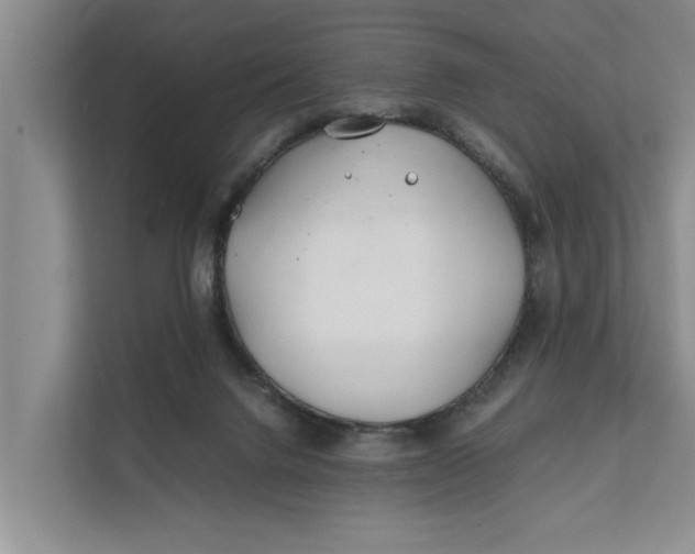 X0000112400072200909041344