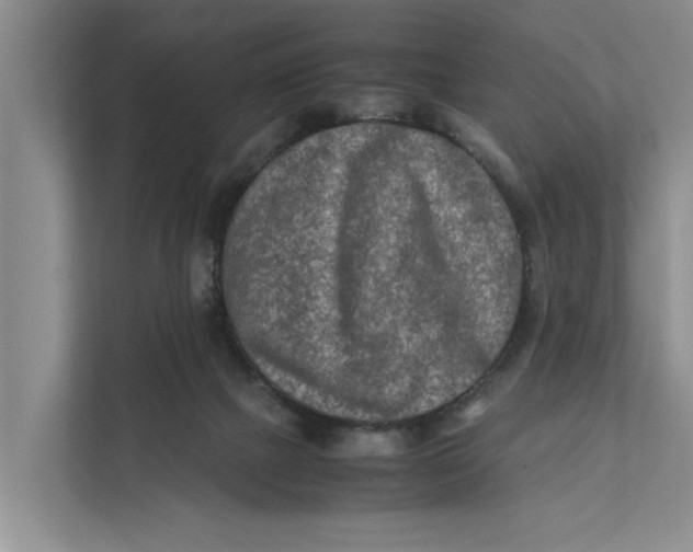 X0000112400073200909041344