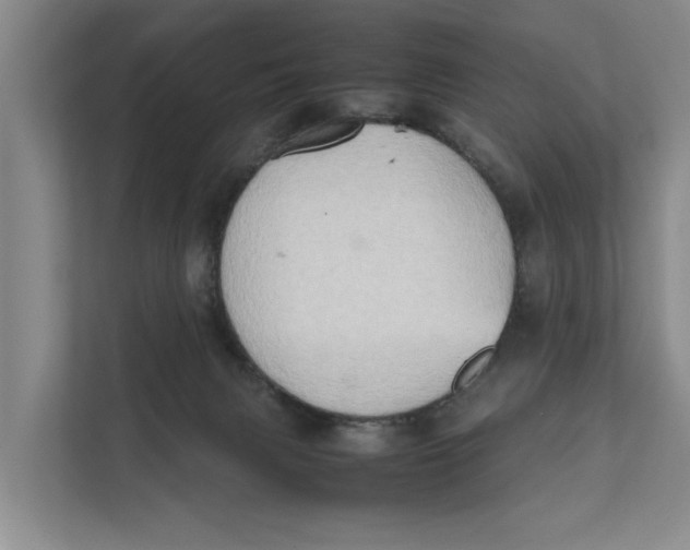 X0000112400079200909041344