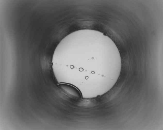 X0000112400083200909041344