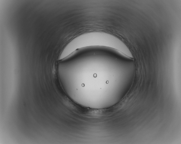 X0000112400084200909041344