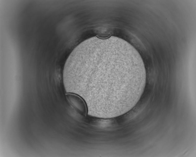 X0000112400085200909041344